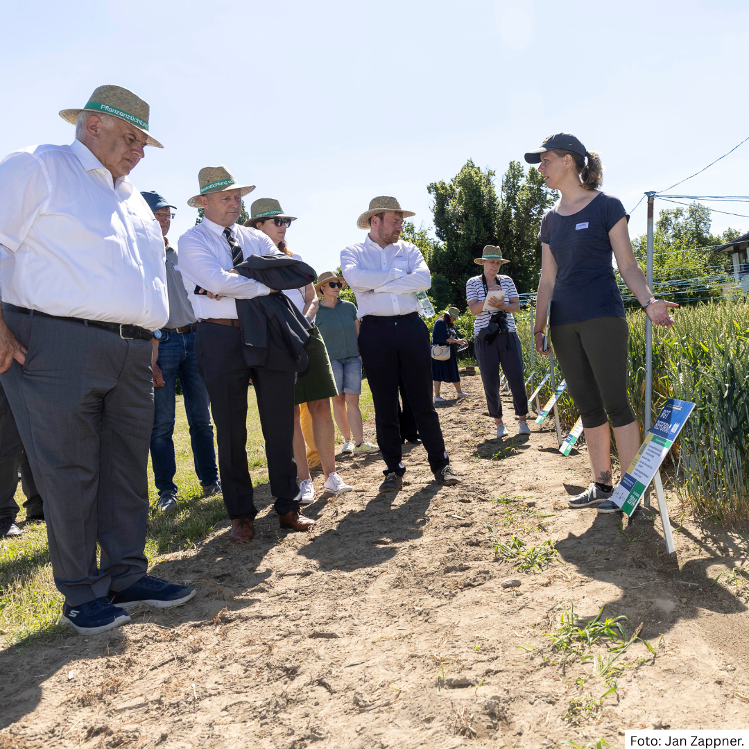 Newsletter vom 26. Juni 2026