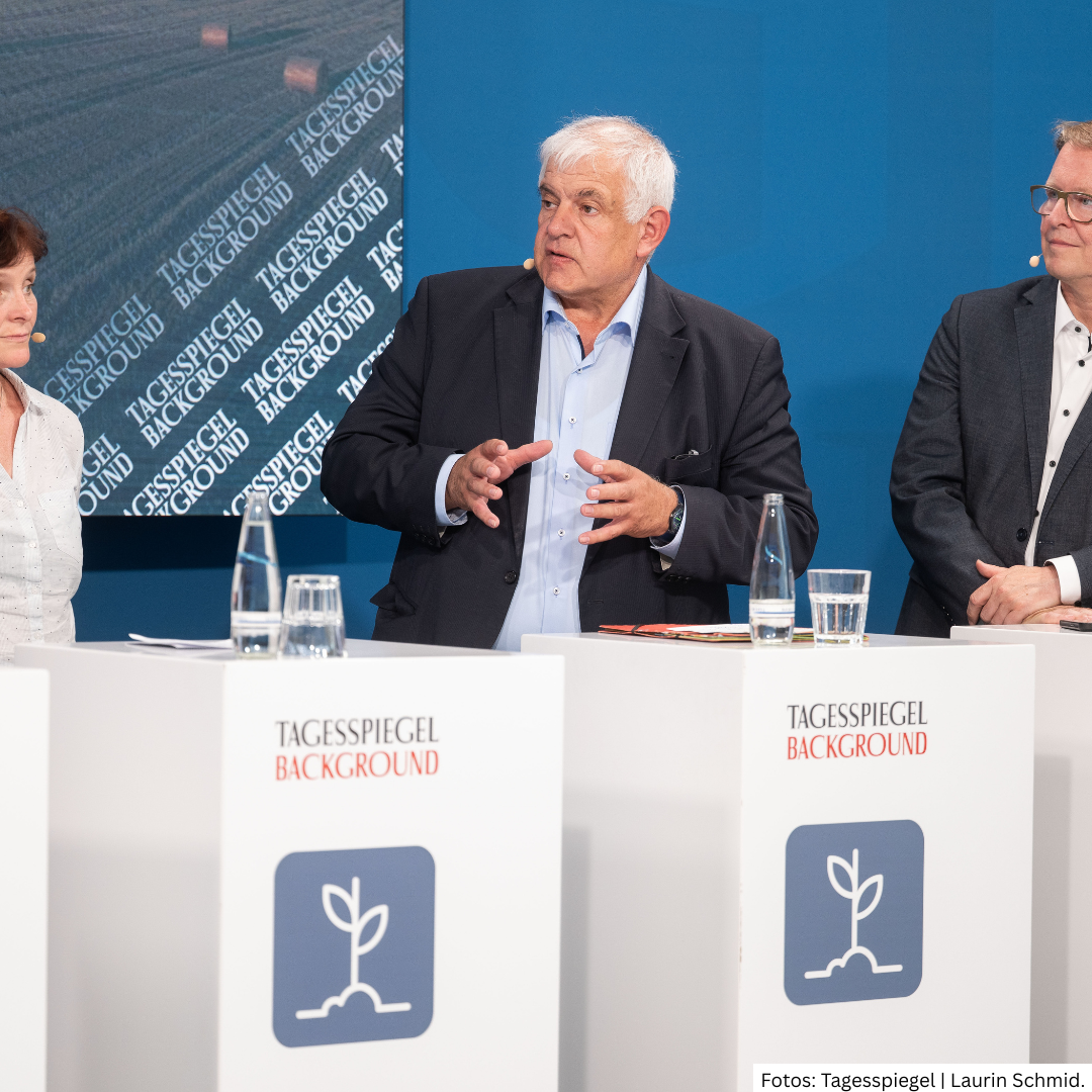 Newsletter vom 10. Juli 2026