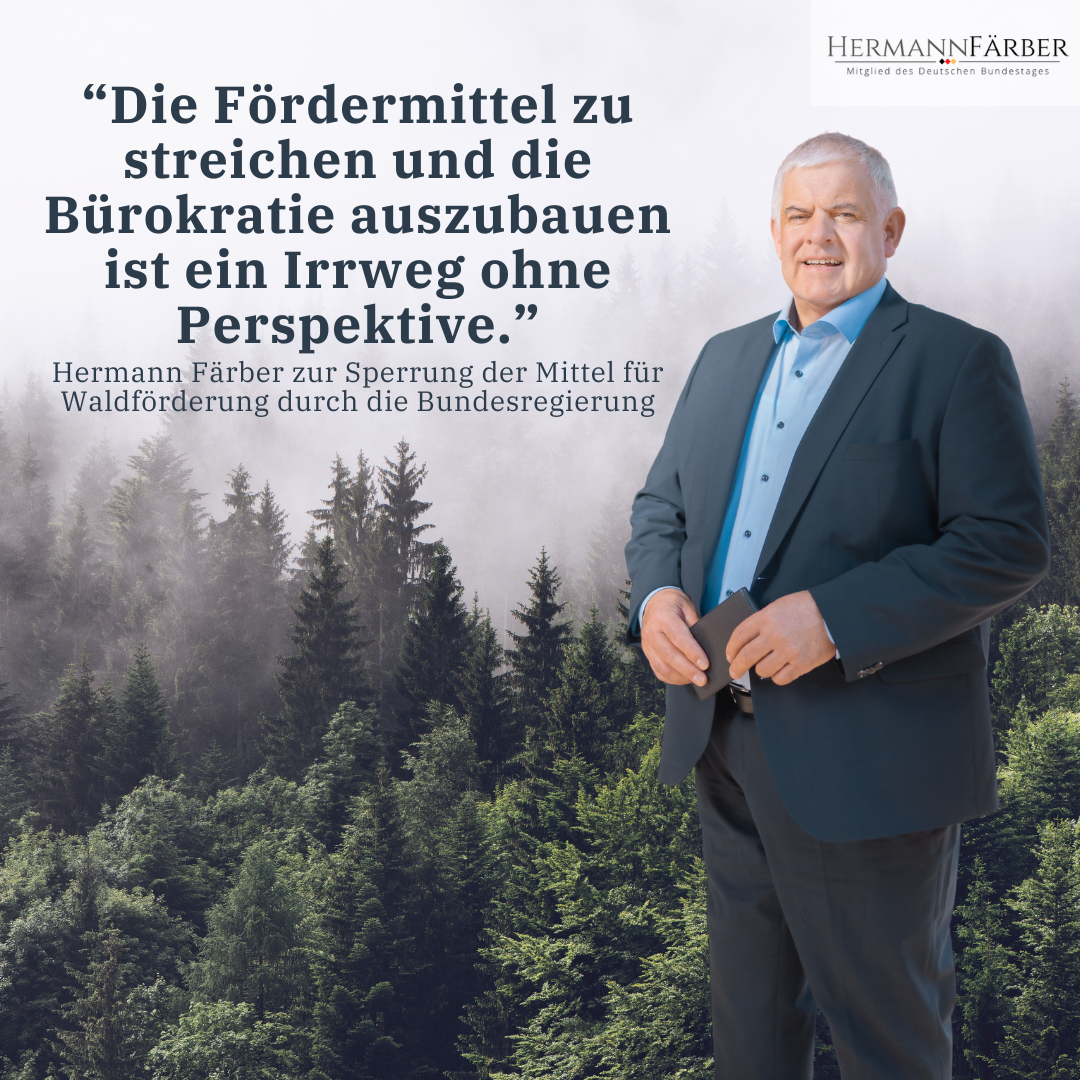 Pressemitteilung zur Forstpolitik der Bundesregierung