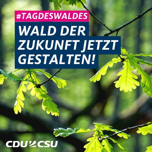 Internationaler Tag des Waldes
