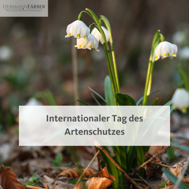 Welttag des Artenschutzes