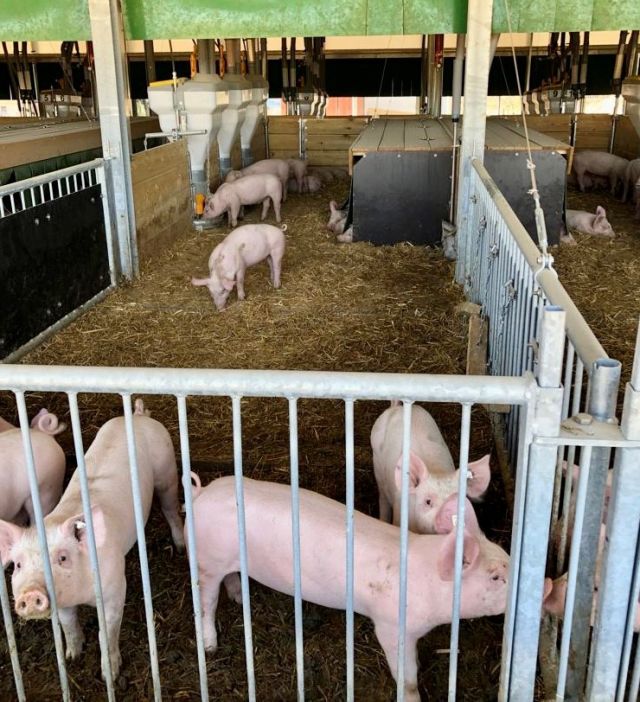 Persönliche Erklärung zum Tierhaltungskennzeichnungsgesetz