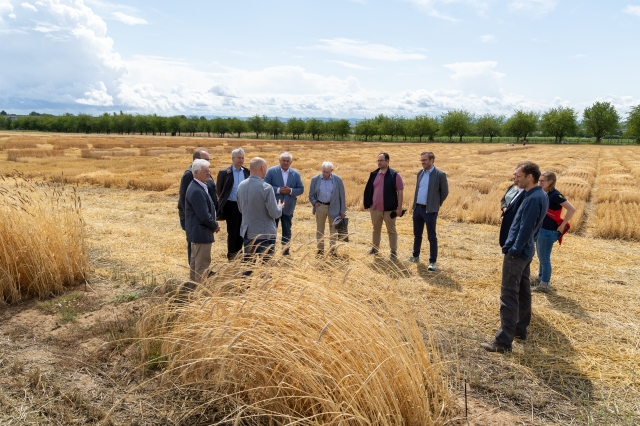 Besuch in der Landessaatzuchtanstalt (LSA)