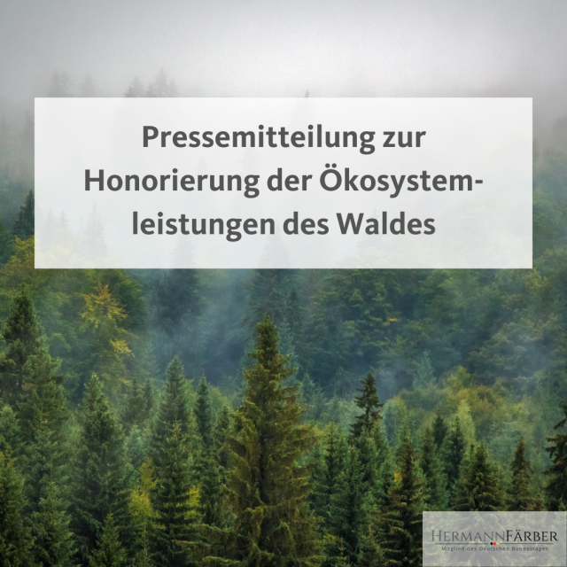 Pressemitteilung zur Honorierung der Ökosystemleistungen des Waldes