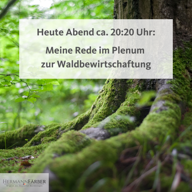 Rede im Plenum zur Waldbewirtschaftung