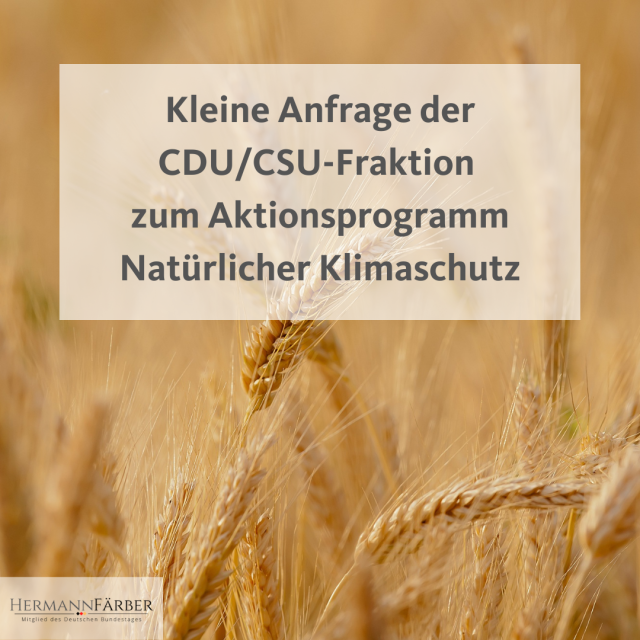 Pressemitteilung zum Aktionsprogramm 
