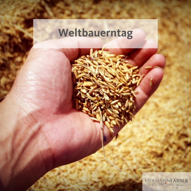 Pressemitteilung zum Weltbauerntag