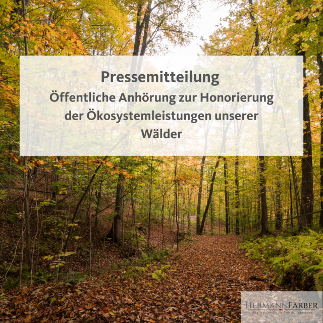 Pressemitteilung zur Honorierung der Ökosystemleistungen des Waldes
