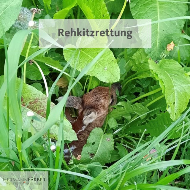 Rehkitzrettung